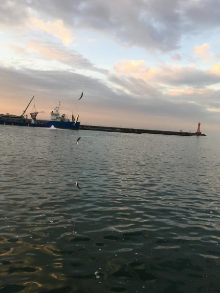 餌なしサビキ釣り